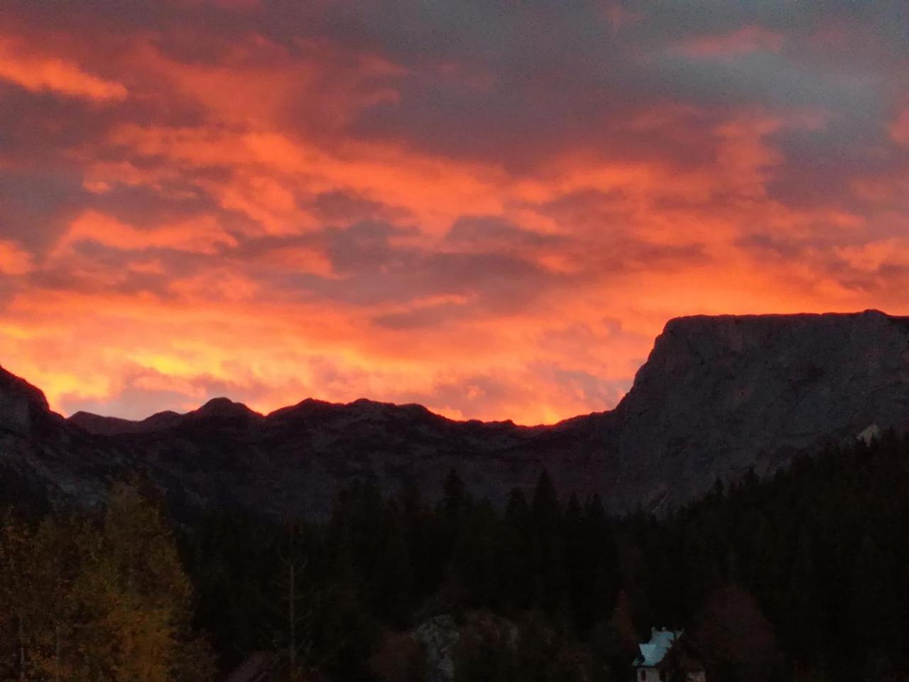 Apartment Durmitor Žabljak Εξωτερικό φωτογραφία