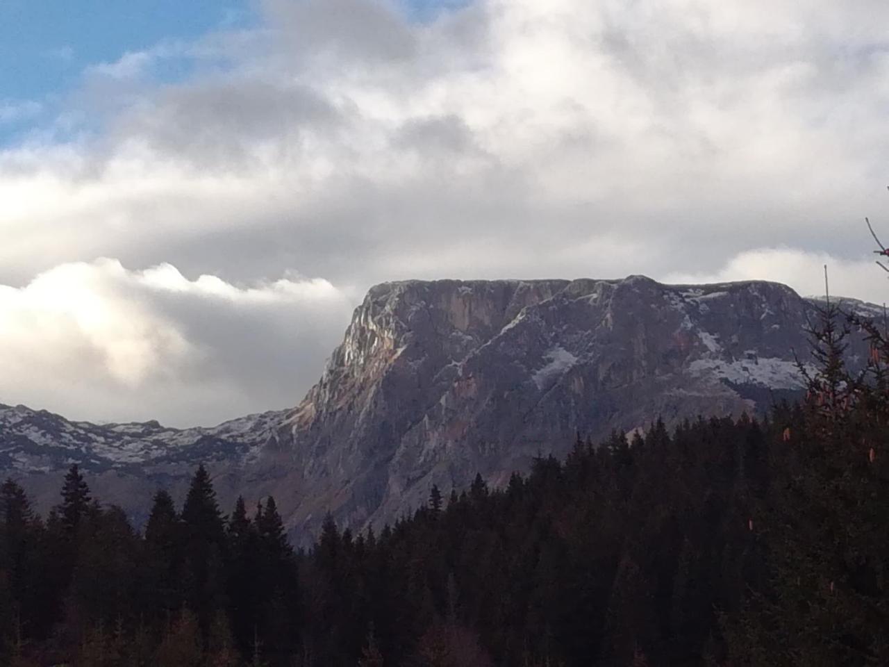 Apartment Durmitor Žabljak Εξωτερικό φωτογραφία