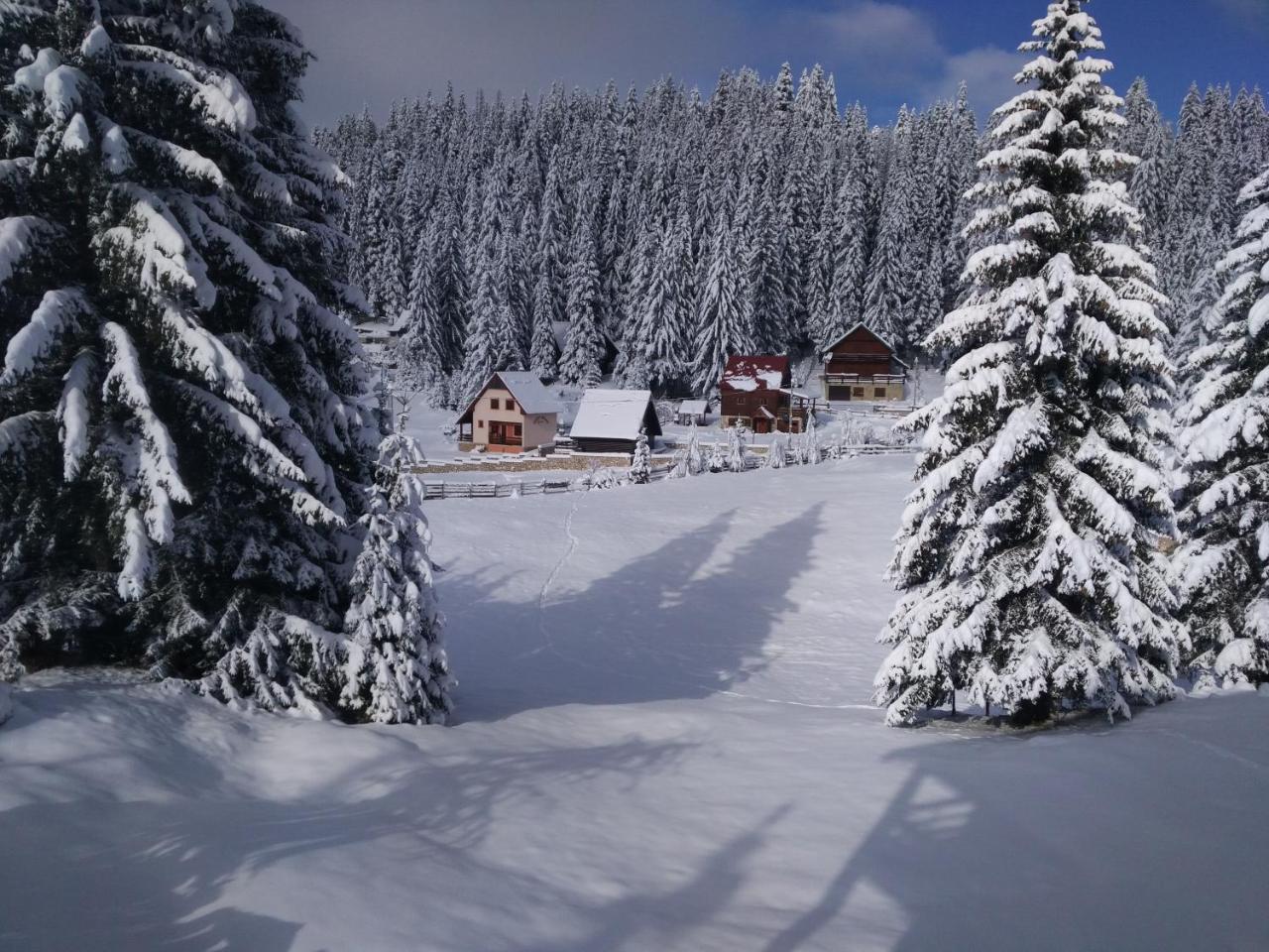 Apartment Durmitor Žabljak Εξωτερικό φωτογραφία