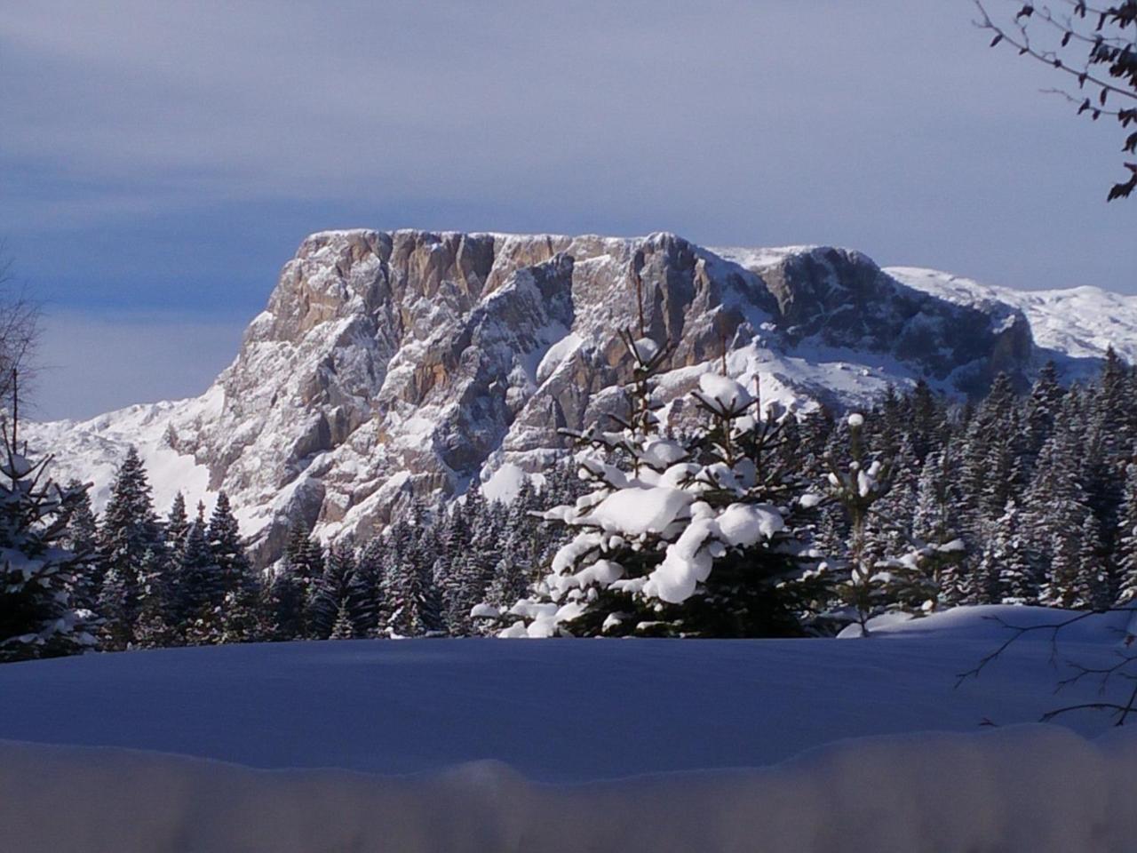 Apartment Durmitor Žabljak Εξωτερικό φωτογραφία