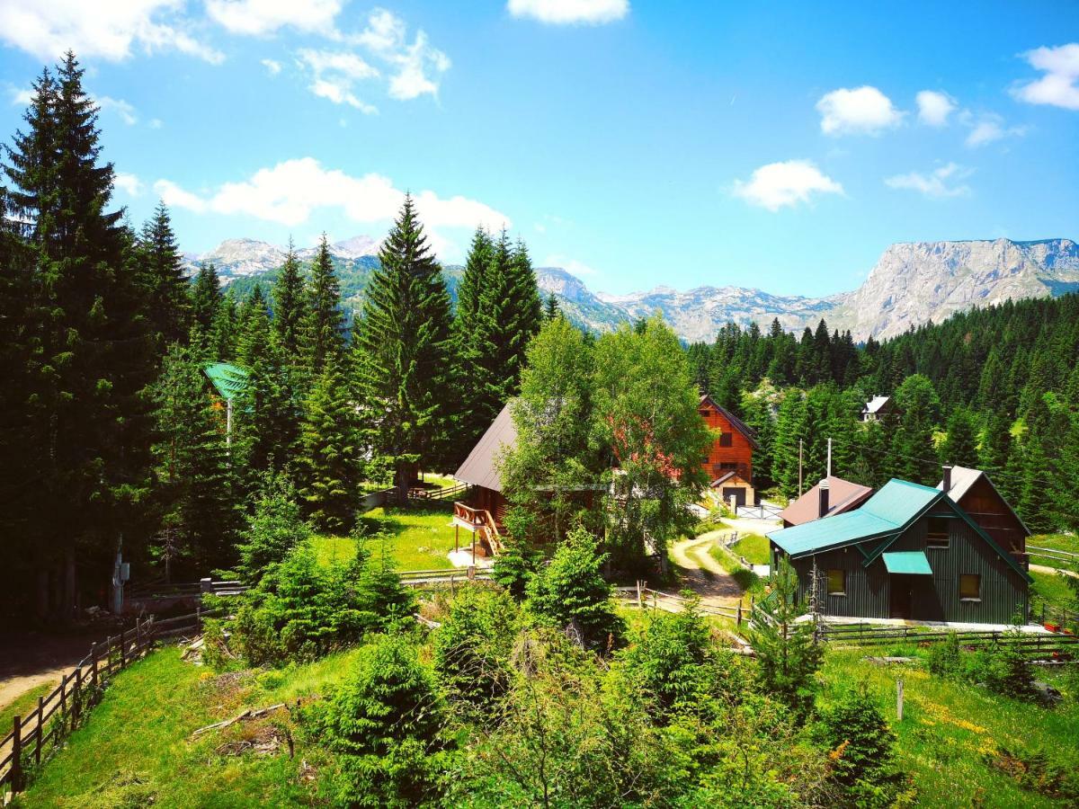 Apartment Durmitor Žabljak Εξωτερικό φωτογραφία