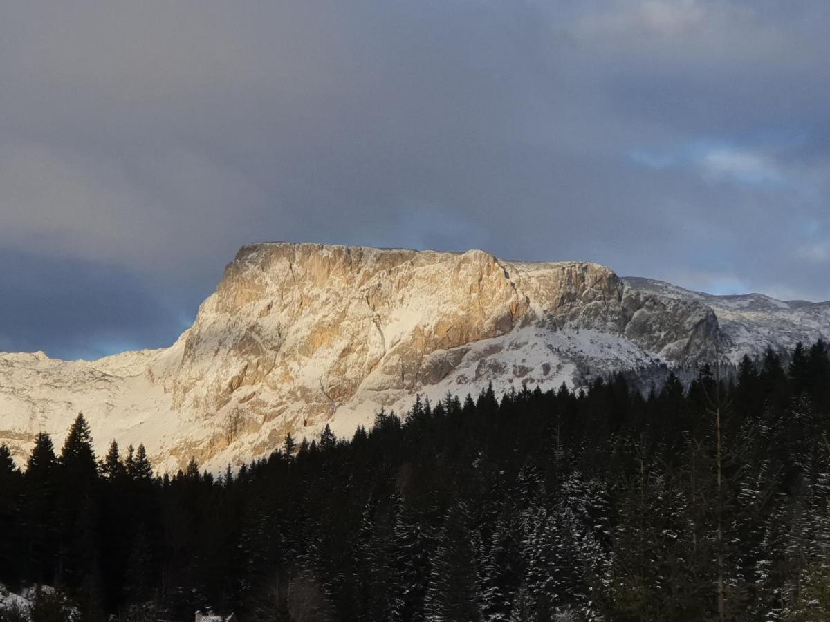 Apartment Durmitor Žabljak Εξωτερικό φωτογραφία